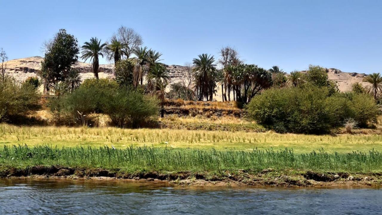 Habibi Nubian Guest House-Nubian Hospitality Aswan Luaran gambar