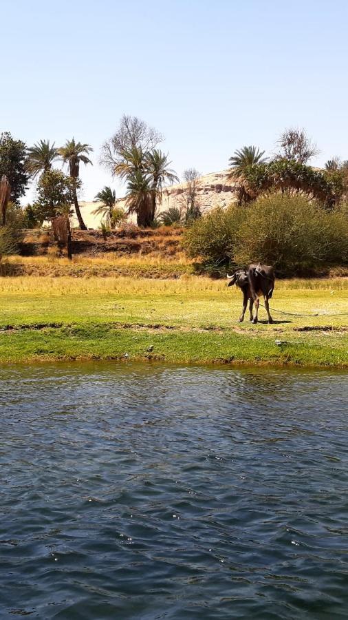 Habibi Nubian Guest House-Nubian Hospitality Aswan Luaran gambar