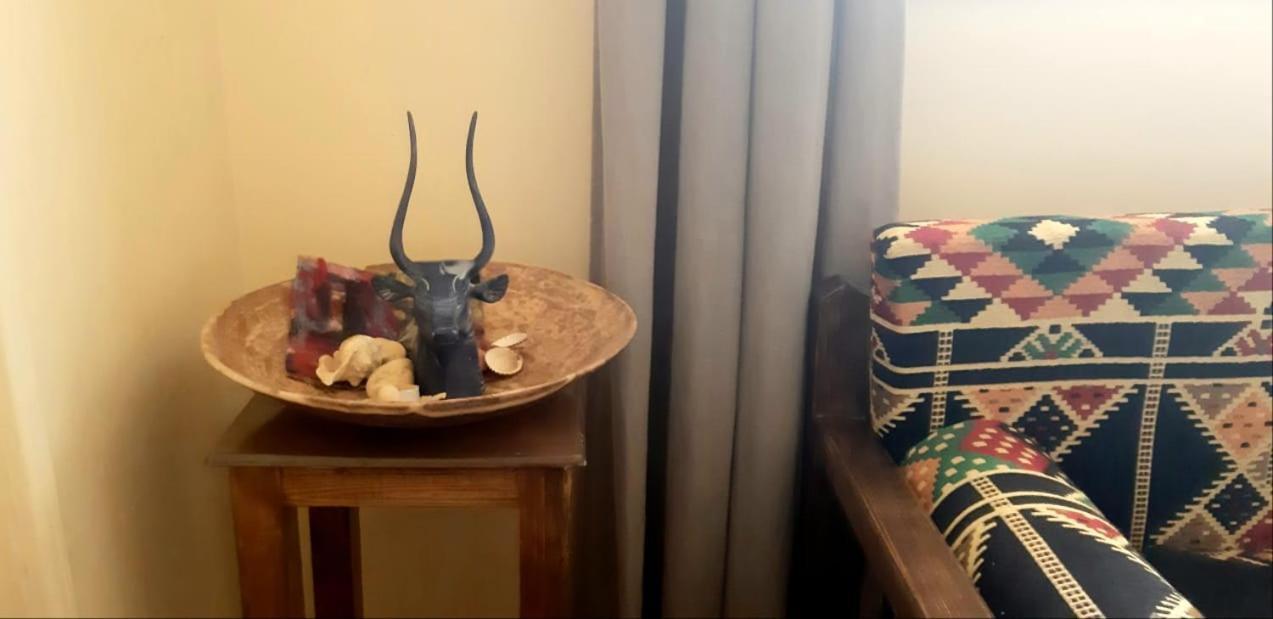 Habibi Nubian Guest House-Nubian Hospitality Aswan Luaran gambar