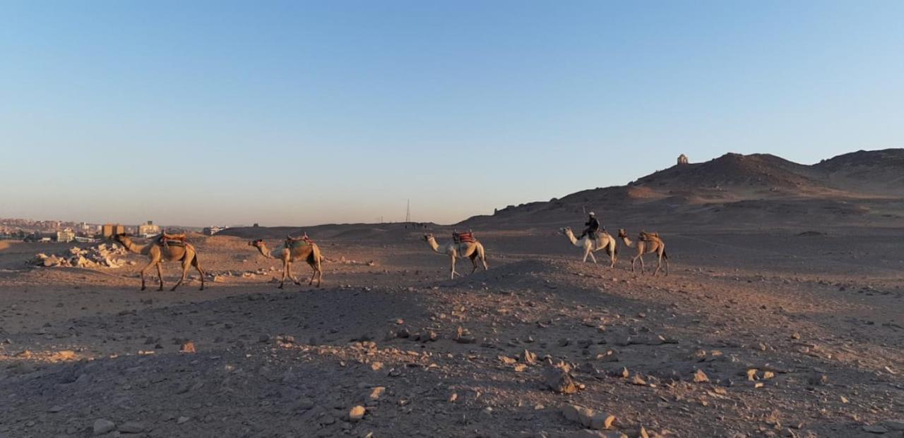 Habibi Nubian Guest House-Nubian Hospitality Aswan Luaran gambar